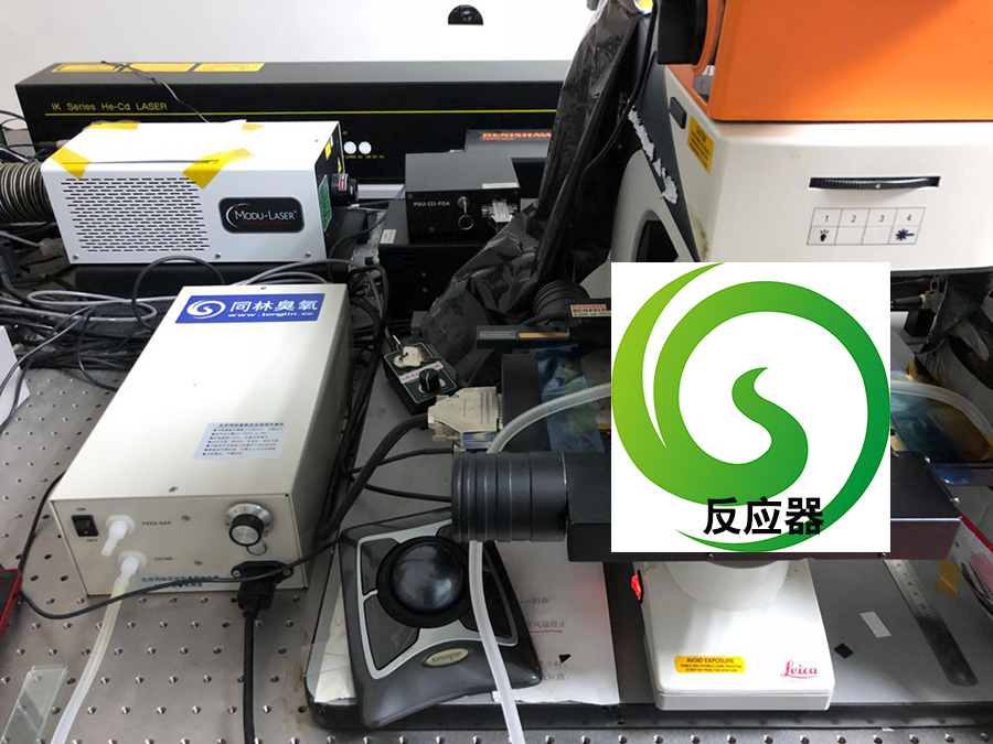 复旦大学我要买彩票app下载苹果版安装
