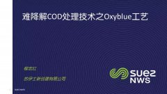 苏伊士：难降解COD去除技术之Oxyblue臭氧生物滤池工艺（ppt）