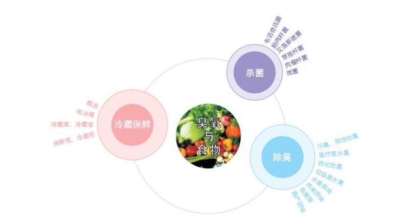 温度湿度对臭氧消毒机灭菌效果的影响