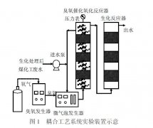 臭氧高级催化氧化+微气泡降解有毒有害污染物研究