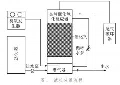 臭氧催化试验装置处理焦化废水的效果分析