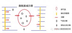 催化臭氧化工艺核心 — 催化剂填料与反应器